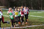 Someren110109020252_small.jpg (3932 Byte)