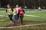 Someren110109020254_small.jpg (3946 Byte)