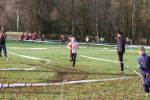 Someren110109020272_small.jpg (3932 Byte)