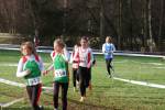 Someren110109020281_small.jpg (3698 Byte)