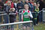 Someren110109030008_small.jpg (3932 Byte)