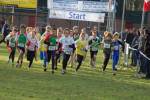 Someren110109030051_small.jpg (3857 Byte)