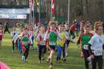 Someren110109030055_small.jpg (3857 Byte)