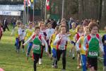 Someren110109030056_small.jpg (3932 Byte)