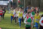 Someren110109030057_small.jpg (3698 Byte)