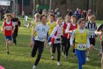 Someren110109030058_small.jpg (3946 Byte)