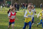 Someren110109030060_small.jpg (3932 Byte)