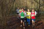 Someren110109030077_small.jpg (3698 Byte)