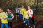 Someren110109030080_small.jpg (3932 Byte)