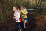 Someren110109030081_small.jpg (3698 Byte)