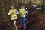 Someren110109030082_small.jpg (3946 Byte)