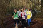 Someren110109030092_small.jpg (3932 Byte)