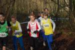 Someren110109030093_small.jpg (3698 Byte)