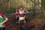 Someren110109030097_small.jpg (3698 Byte)