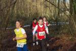 Someren110109030100_small.jpg (3932 Byte)