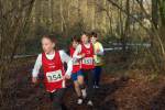 Someren110109030101_small.jpg (3698 Byte)