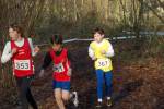 Someren110109030103_small.jpg (3857 Byte)