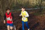 Someren110109030104_small.jpg (3932 Byte)