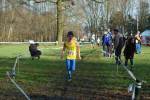 Someren110109030138_small.jpg (3946 Byte)