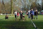 Someren110109030156_small.jpg (3932 Byte)