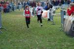 Someren110109030277_small.jpg (3698 Byte)