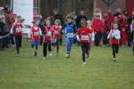 Someren110109030338_small.jpg (3946 Byte)