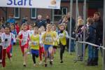 Someren110109030340_small.jpg (3932 Byte)