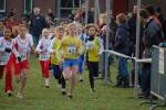 Someren110109030341_small.jpg (3698 Byte)