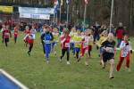 Someren110109030343_small.jpg (3857 Byte)