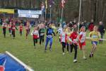 Someren110109030344_small.jpg (3932 Byte)