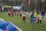 Someren110109030345_small.jpg (3698 Byte)