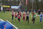 Someren110109030348_small.jpg (3932 Byte)