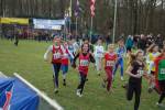 Someren110109030349_small.jpg (3698 Byte)