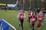 Someren110109030350_small.jpg (3946 Byte)