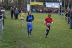 Someren110109030364_small.jpg (3932 Byte)