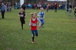 Someren110109030385_small.jpg (3698 Byte)