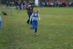 Someren110109030408_small.jpg (3932 Byte)