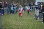 Someren110109040009_small.jpg (3698 Byte)