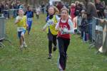 Someren110109040030_small.jpg (3946 Byte)