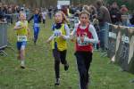 Someren110109040031_small.jpg (3857 Byte)