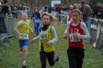 Someren110109040032_small.jpg (3932 Byte)