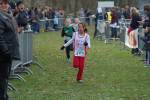 Someren110109040046_small.jpg (3946 Byte)