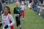 Someren110109040050_small.jpg (3946 Byte)