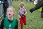 Someren110109040052_small.jpg (3932 Byte)