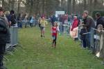 Someren110109040056_small.jpg (3932 Byte)