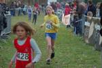 Someren110109040061_small.jpg (3698 Byte)