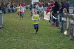 Someren110109040092_small.jpg (3932 Byte)