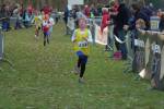 Someren110109040093_small.jpg (3698 Byte)