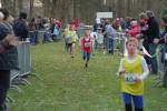 Someren110109040095_small.jpg (3857 Byte)