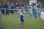 Someren110109040116_small.jpg (3932 Byte)